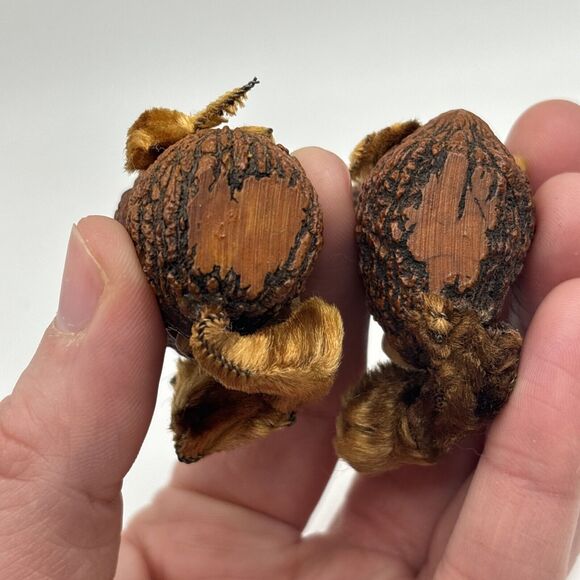 VINTAGE ANTIQUE SALT AND PEPPER SHAKERS SQUIRRELS MADE FROM WALNUTS RARE - Picture 6 of 7